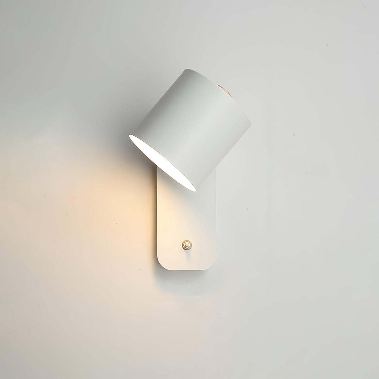 Adjustable Round Wall Mount Lamp