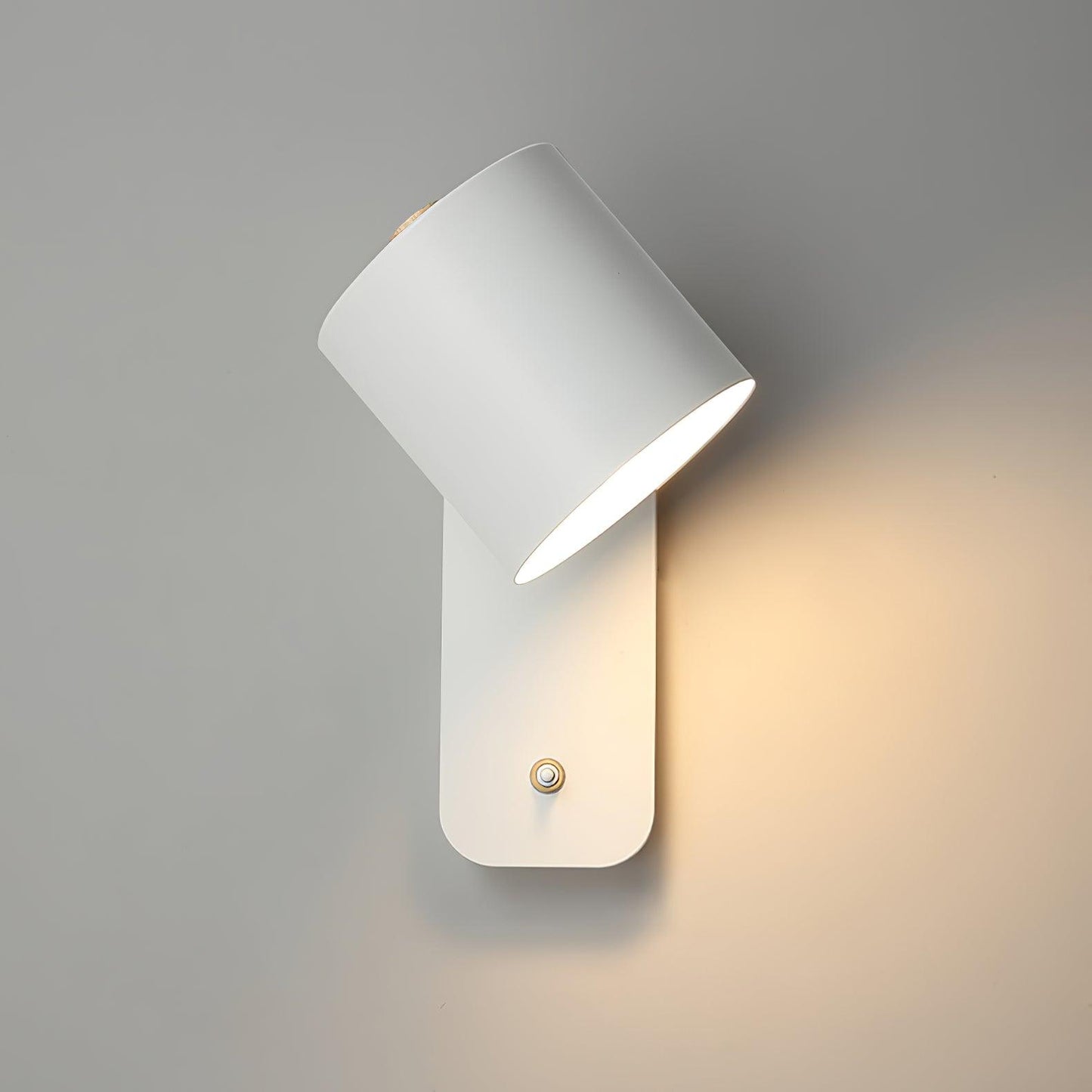 Adjustable Round Wall Mount Lamp