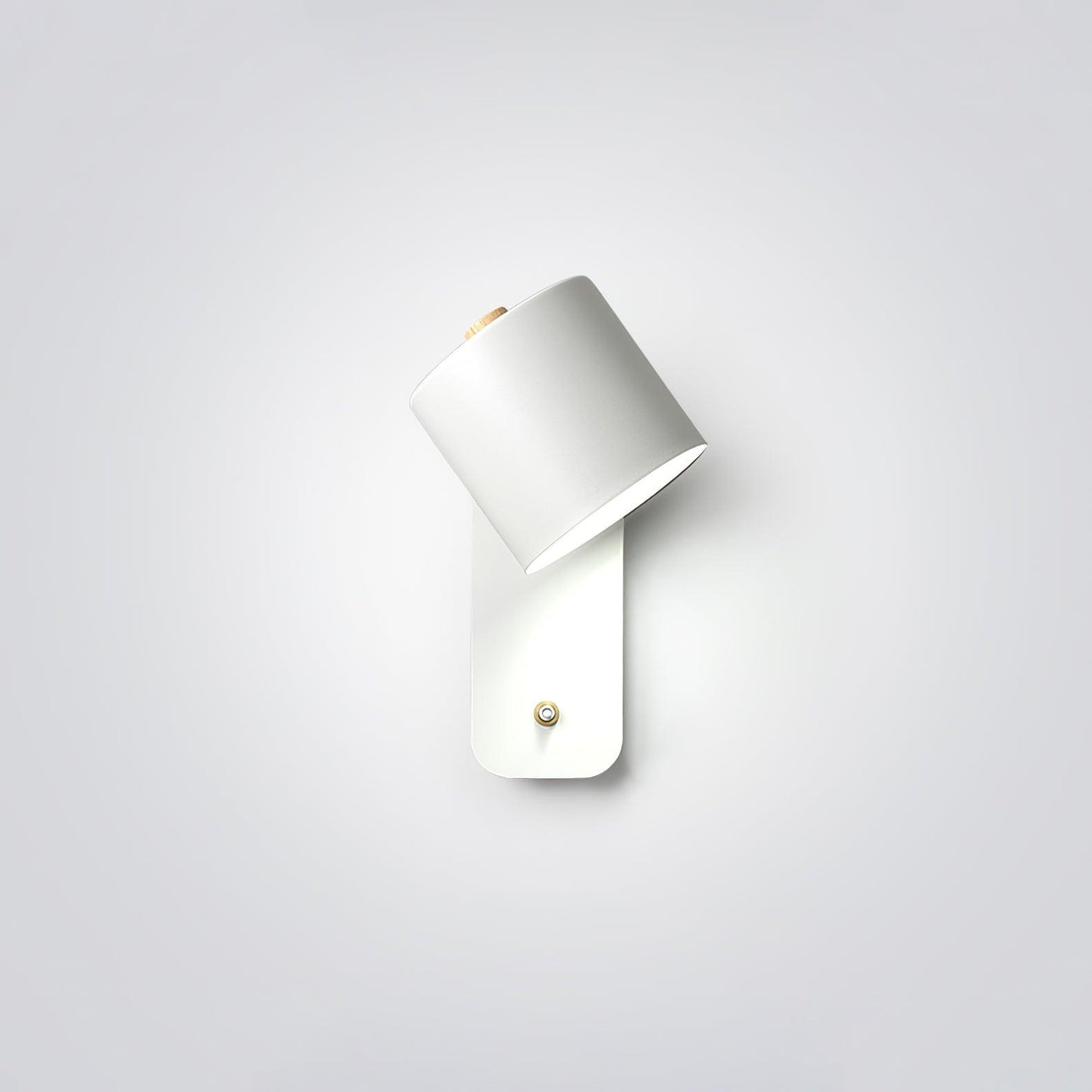 Adjustable Round Wall Mount Lamp
