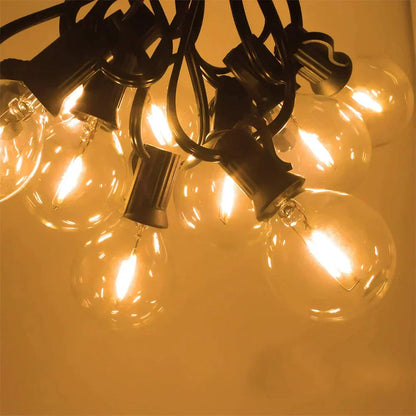 Energy Saving LED Light Bulbs – Versatile Dimmable Globe