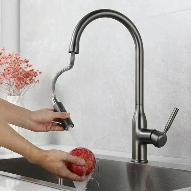 Cofik | Modern Steel Faucet with Pull Down Sprayer