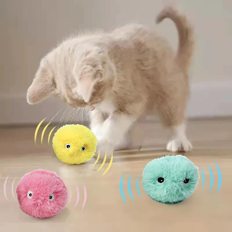 Fun Interactive Cat Toy Ball