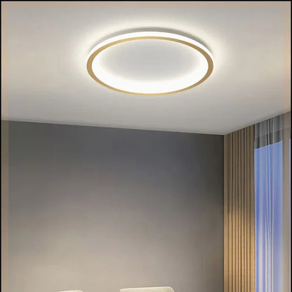 Stylish LED Ceiling Lamp Home Lighting