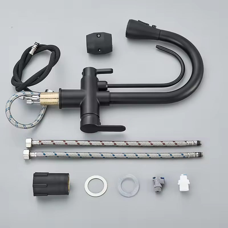 Black Kitchen Faucet with Pull-Out Spray and Filter