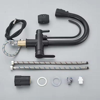 Black Kitchen Faucet with Pull-Out Spray and Filter