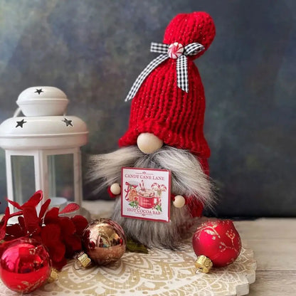 Adorable Miniature Garden Gnomes for Home Decor