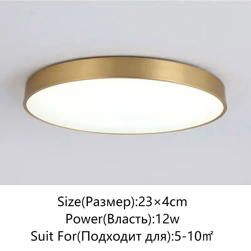 Stylish LED Hall Ceiling Lamp - Elegant Gold Round