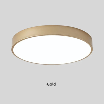 Simple Round LED Ceiling Lamp