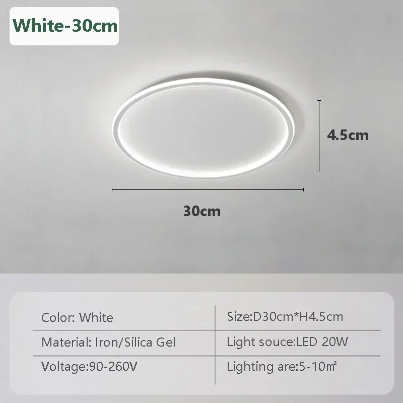 Stylish LED Ceiling Lamp Home Lighting