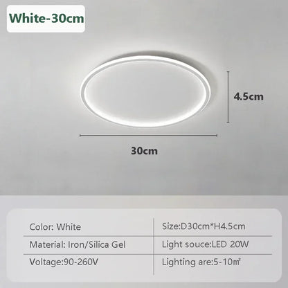 Stylish LED Ceiling Lamp Home Lighting