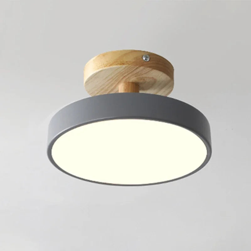 Elegant LED Ceiling Light Fixture