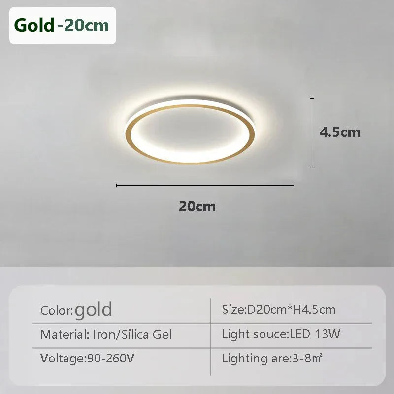Stylish LED Ceiling Lamp Home Lighting
