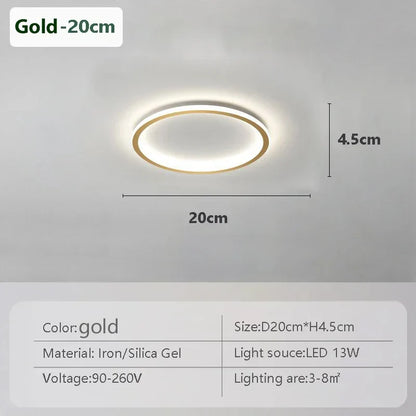 Stylish LED Ceiling Lamp Home Lighting
