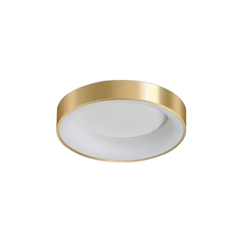 Stylish LED Flush Mount Ceiling Lamp