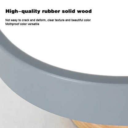Contemporary LED Round Ceiling Light Fixture