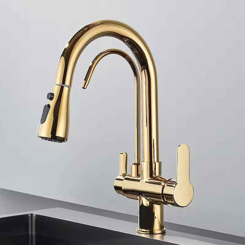 Black Kitchen Faucet with Pull-Out Spray and Filter