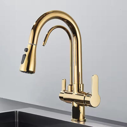Black Kitchen Faucet with Pull-Out Spray and Filter
