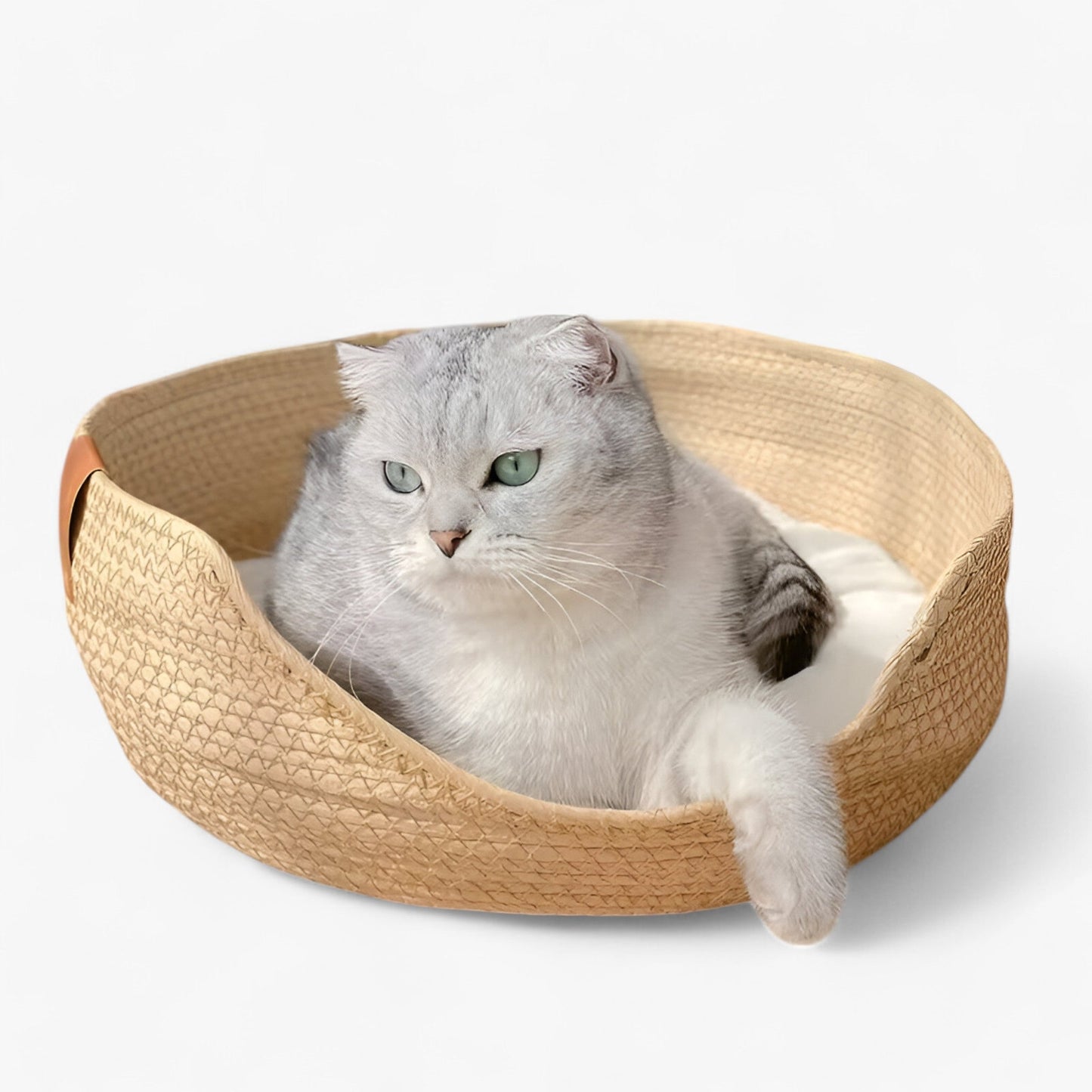 Natural Bamboo Pet Bed with Plush Cushion - Cofik
