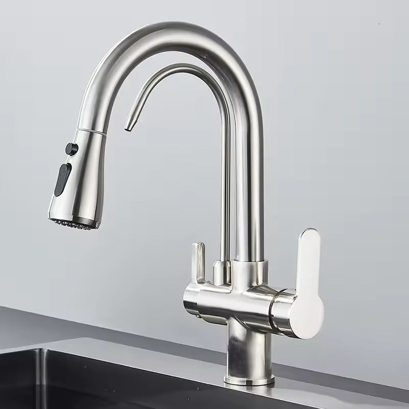 Black Kitchen Faucet with Pull-Out Spray and Filter