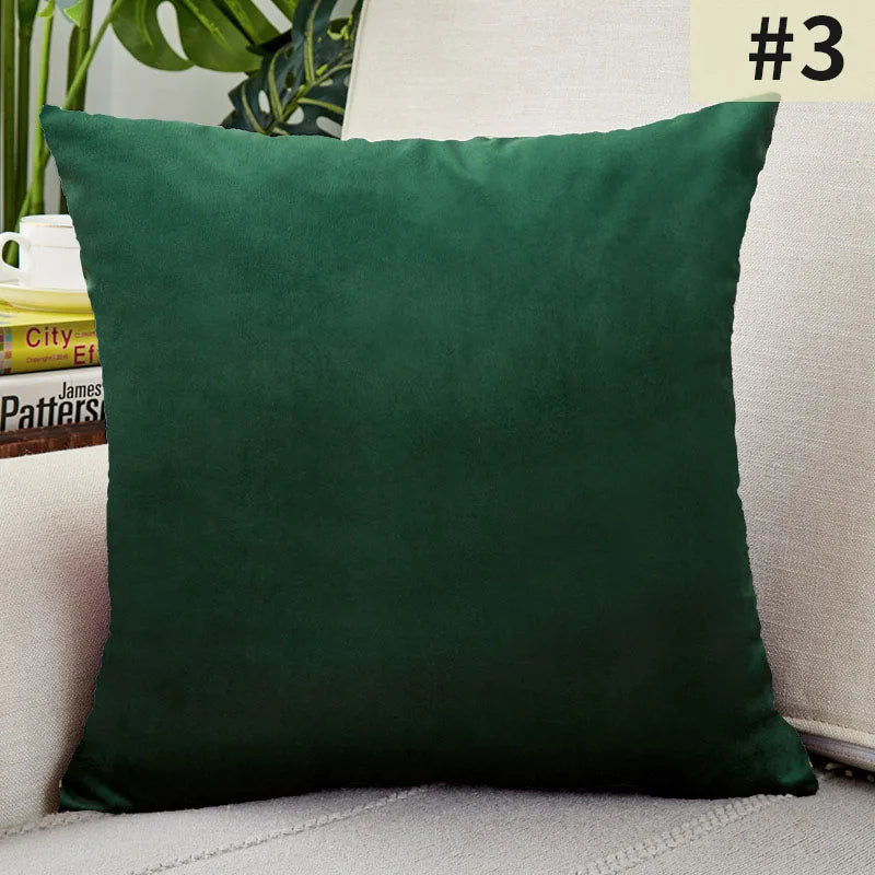 Soft Plush Pillow Cover for Home Decor