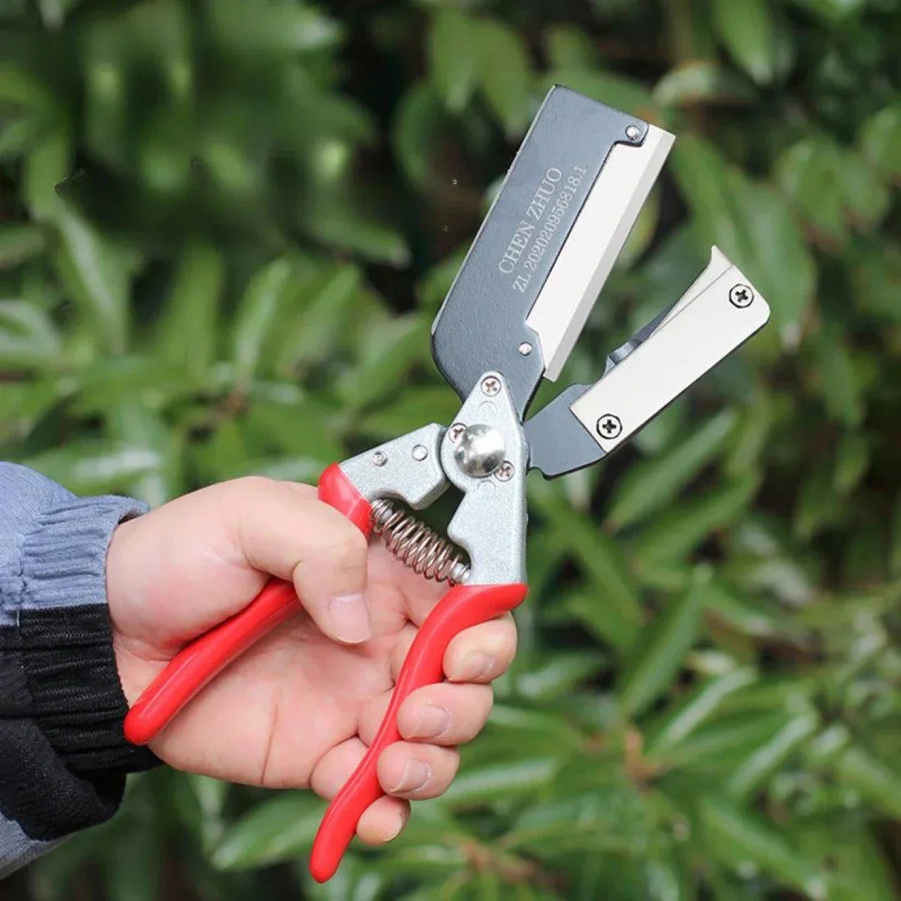 Precise Pruning Scissors for Fruit Trees, 1.8cm Branches - Cofik