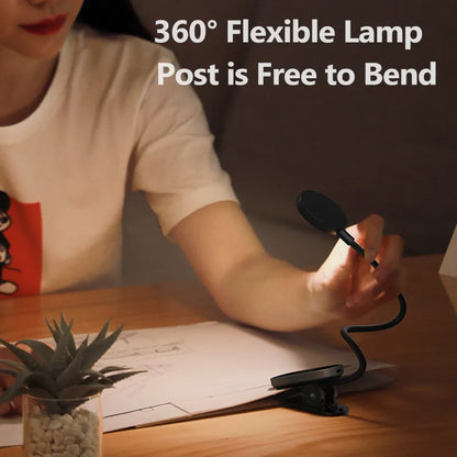 Compact Desk Clip Lamp