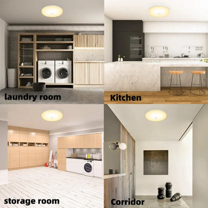 Bright Automatic Motion Sensor Ceiling Light
