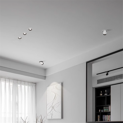 Bright Adjustable LED Ceiling Lamp