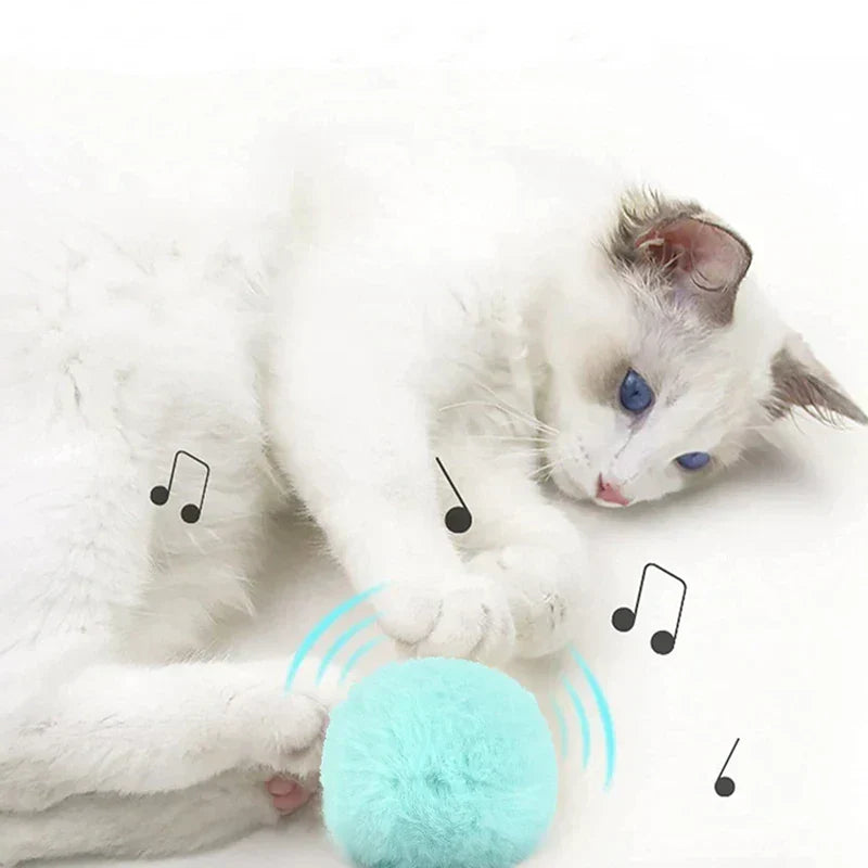 Fun Interactive Cat Toy Ball