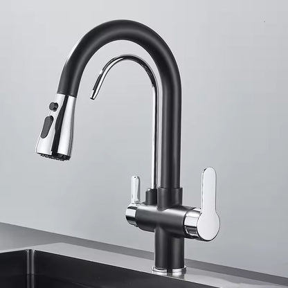 Black Kitchen Faucet with Pull-Out Spray and Filter