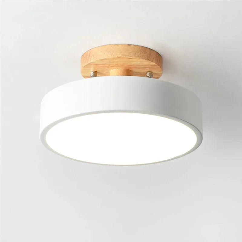 Contemporary LED Round Ceiling Light Fixture