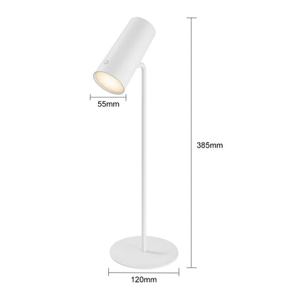 Bright LED Desk Lamp with USB Recharge