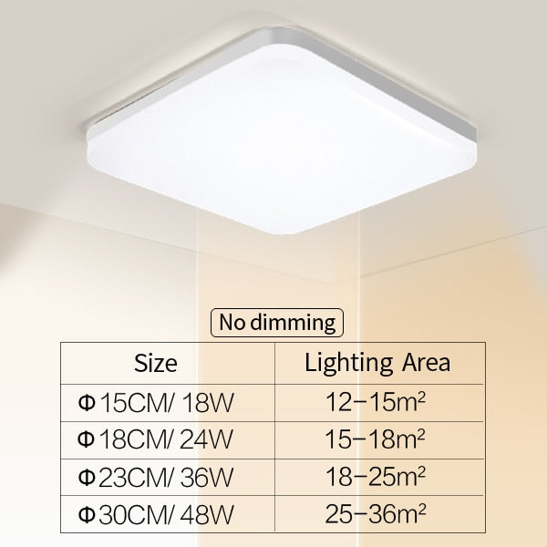 Elegant Home Modern LED Ceiling Lamp