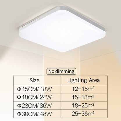 Elegant Home Modern LED Ceiling Lamp