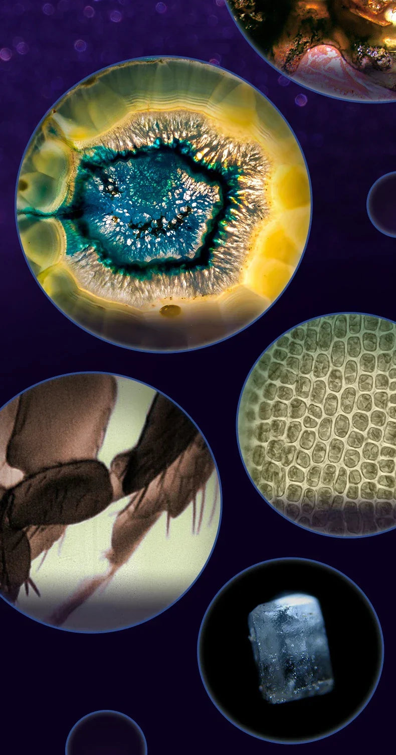 Compact HD Travel Microscope