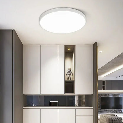 Modern Round LED Light Fixture