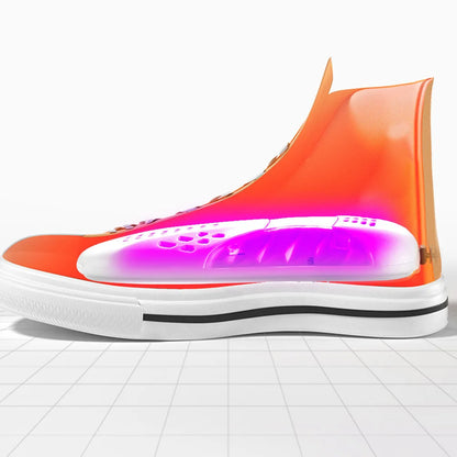 Fast Shoe Dryer and Freshener