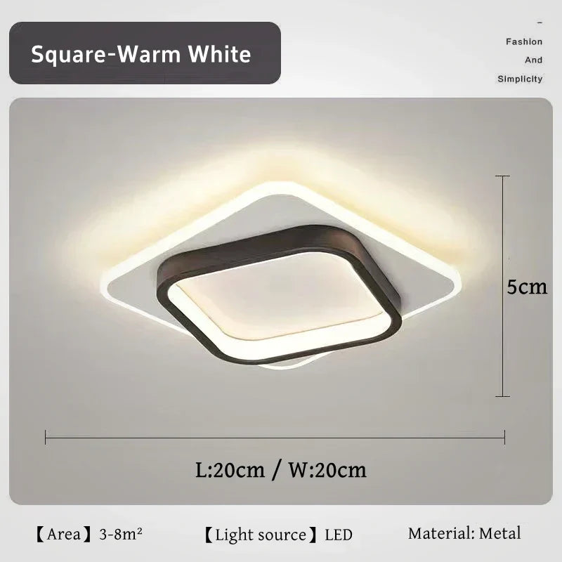 Stylish Metal LED Ceiling Lamp