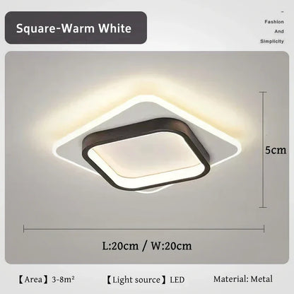 Stylish Metal LED Ceiling Lamp