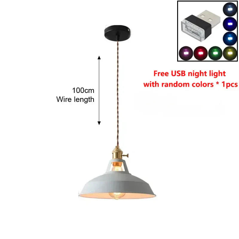 Rustic Metal LED Pendant Light Fixture