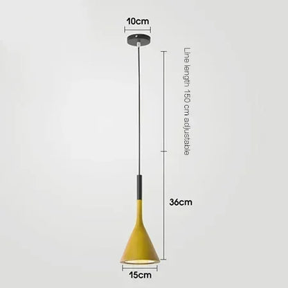 Contemporary Ceiling Pendant Light Fixture