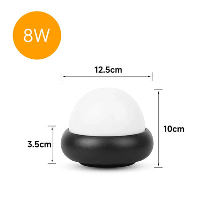 Outdoor LED Wall Light