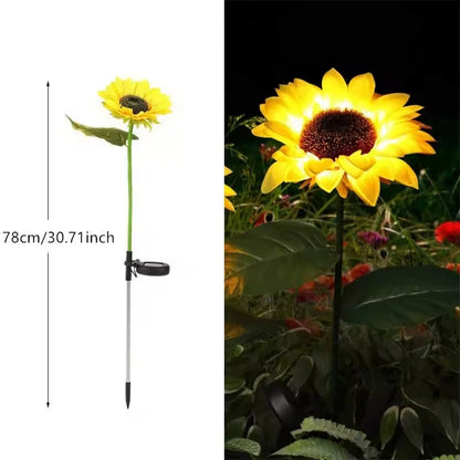 Bright Solar Powered Outdoor Lights