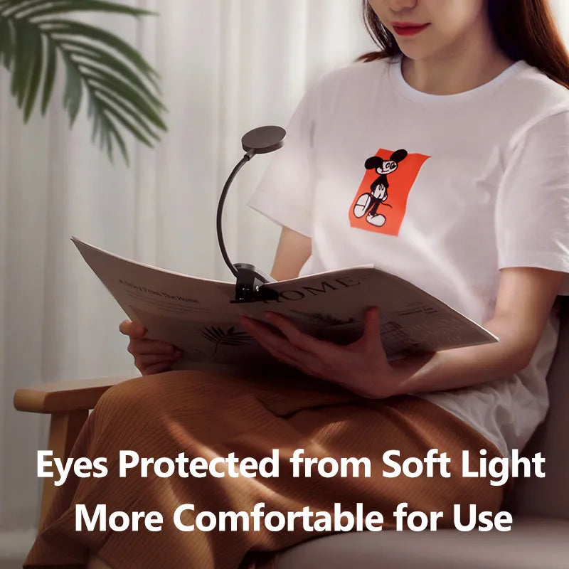 Compact Desk Clip Lamp