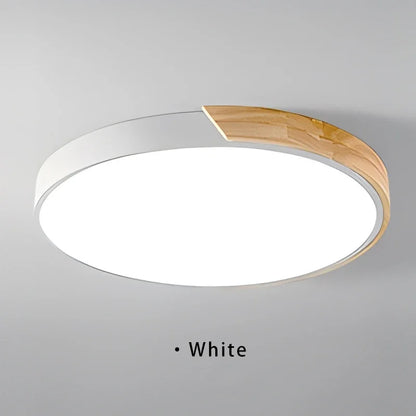 Simple Round LED Ceiling Lamp