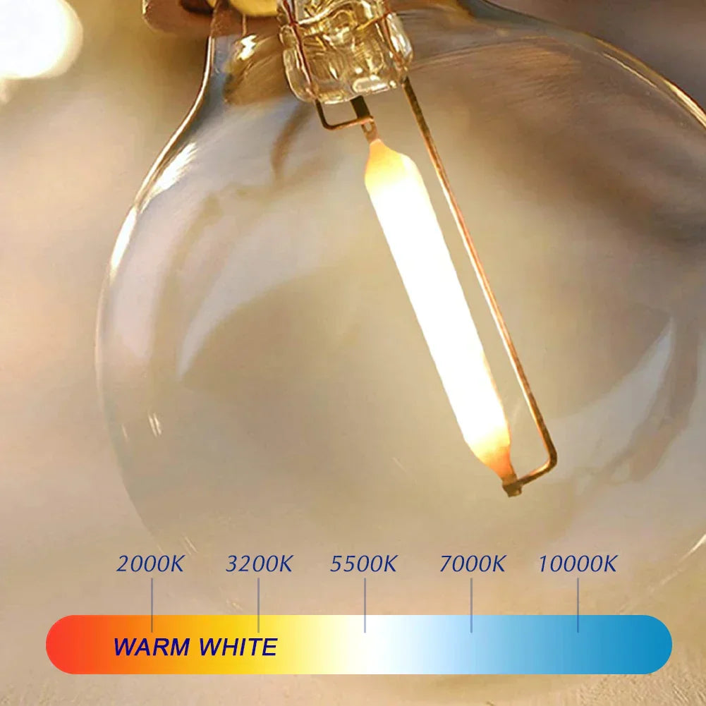 Energy Saving LED Light Bulbs – Versatile Dimmable Globe
