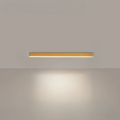 Bright LED Ceiling Fixture