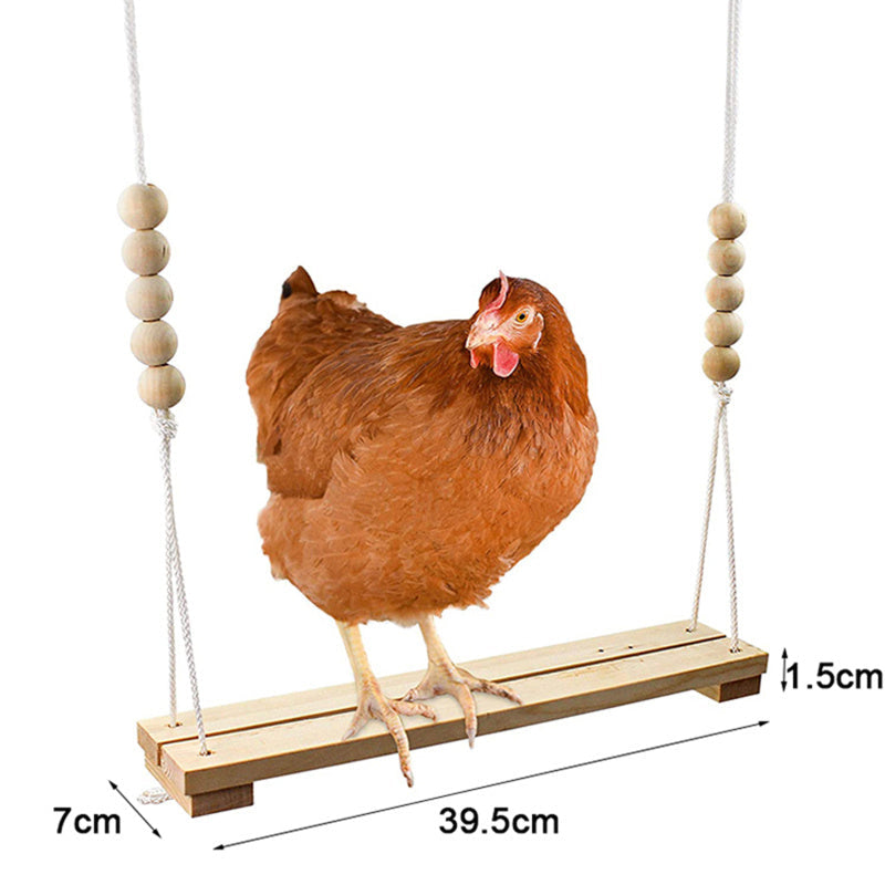Fun Pet Chicken Playground Toy