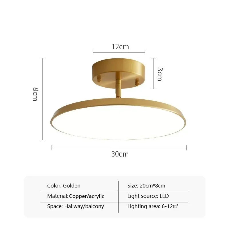 Simple Adjustable LED Ceiling Lamp