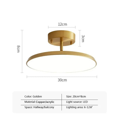 Simple Adjustable LED Ceiling Lamp